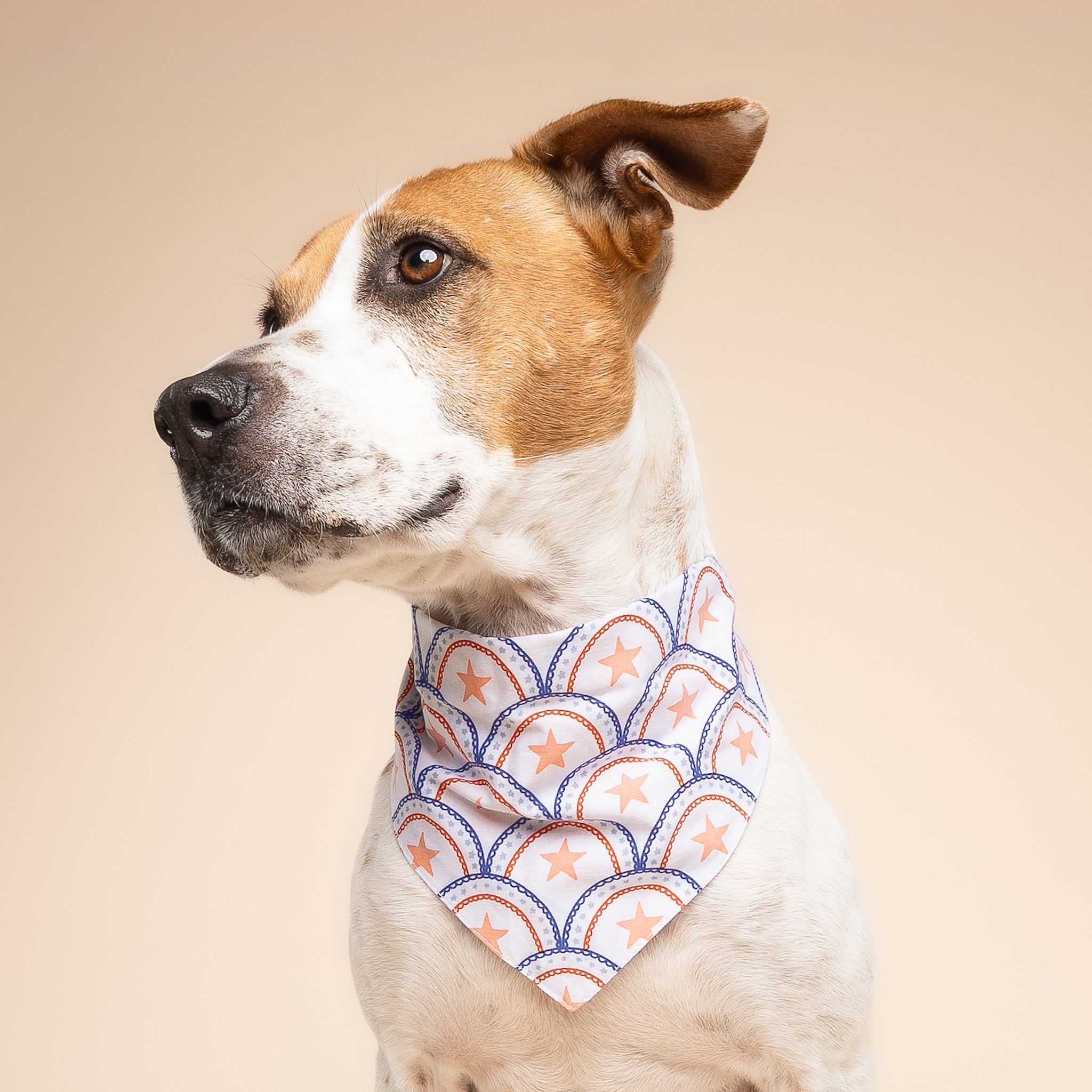 Lincoln Dog Bandana