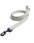 Little Checkers Leash