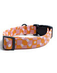 Little Hula Collar