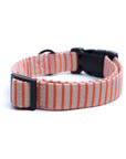 Little Palm Beach Stripe Dog Collar