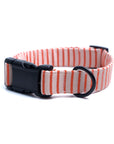 Little Palm Beach Stripe Dog Collar