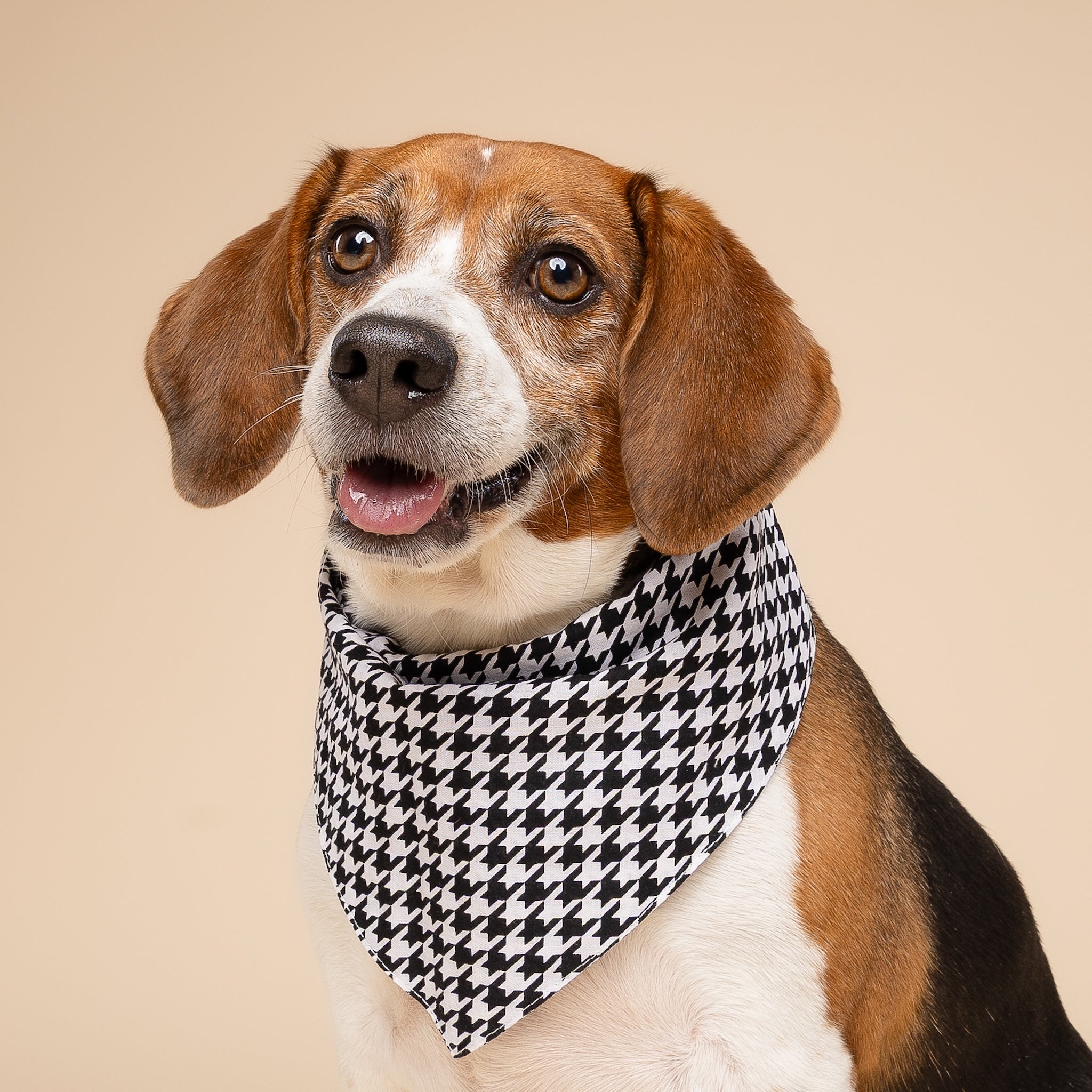 Little Houndstooth Dog Bandana