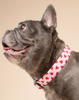 Little Lovesong Collar