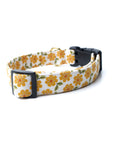 Little Marigold Dog Collar