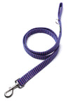 Little Pacific Stripe Leash