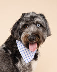 Little Story Dog Bandana