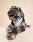 Little Story Dog Bandana