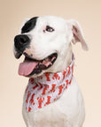 Lobstah Dog Bandana