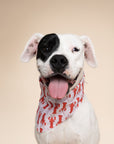 Lobstah Dog Bandana