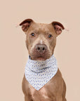 Lou Dog Bandana