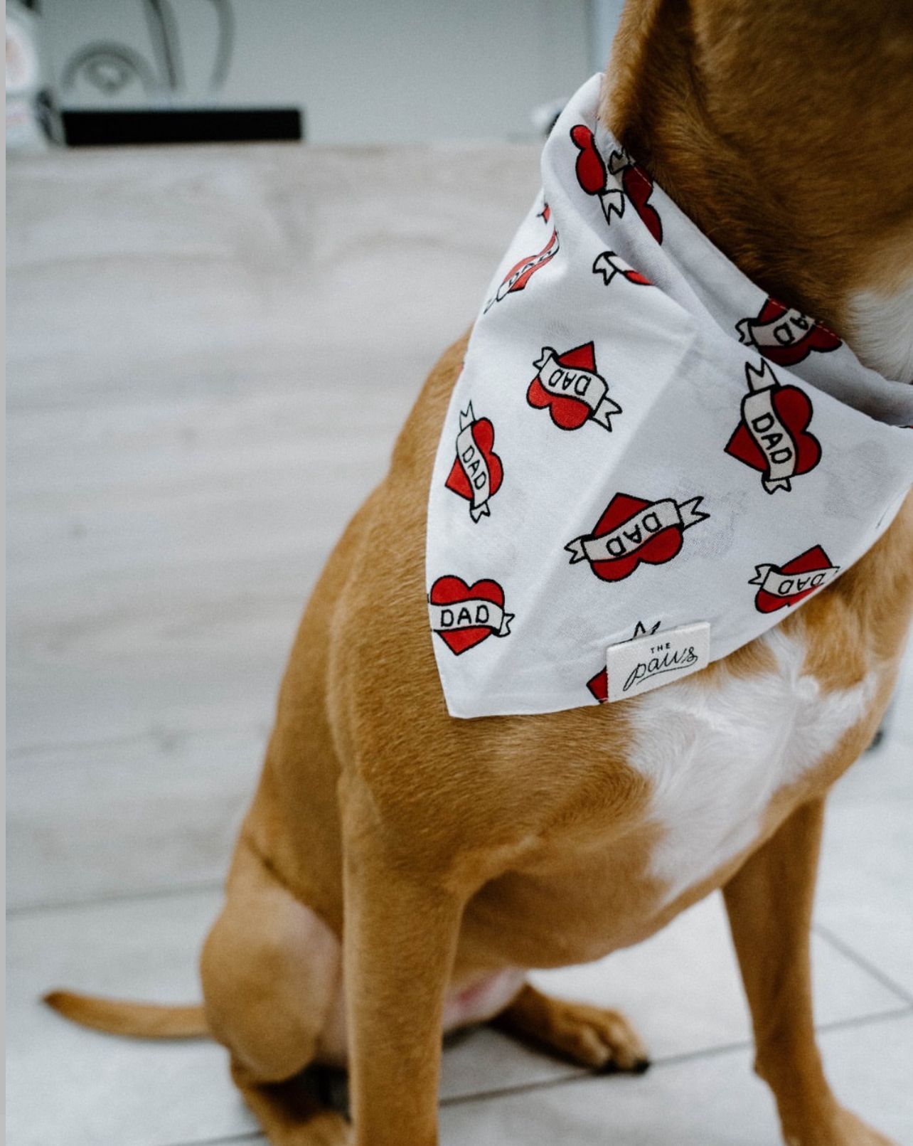 Love Dad dog bandana from The Paws