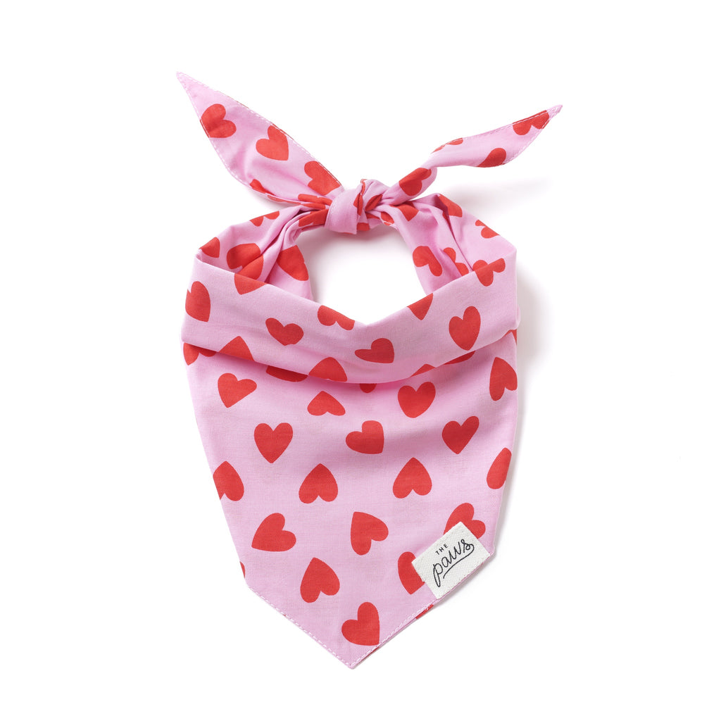 Bandana, Paws Pet Bandana