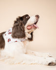 Love Dad Dog Bandana