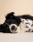 Love Dog Bandana