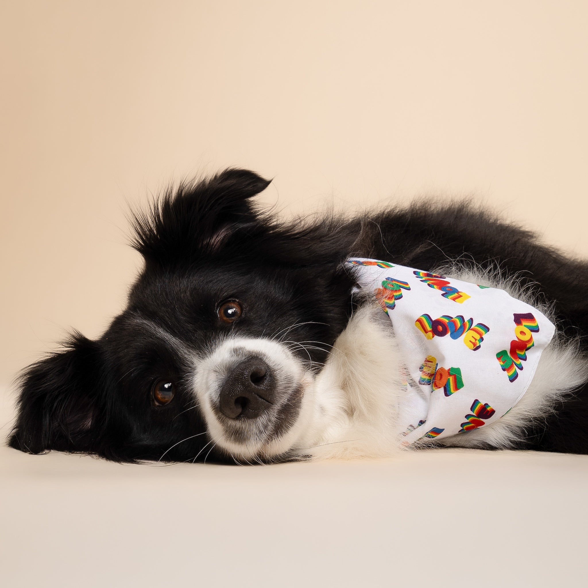 Love Dog Bandana