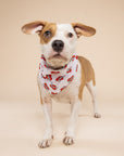 Love Sister Dog Bandana