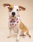 Love Sister Dog Bandana