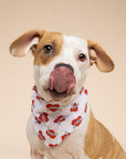 Love Sister Dog Bandana