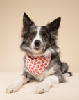 Lover Dog Bandana