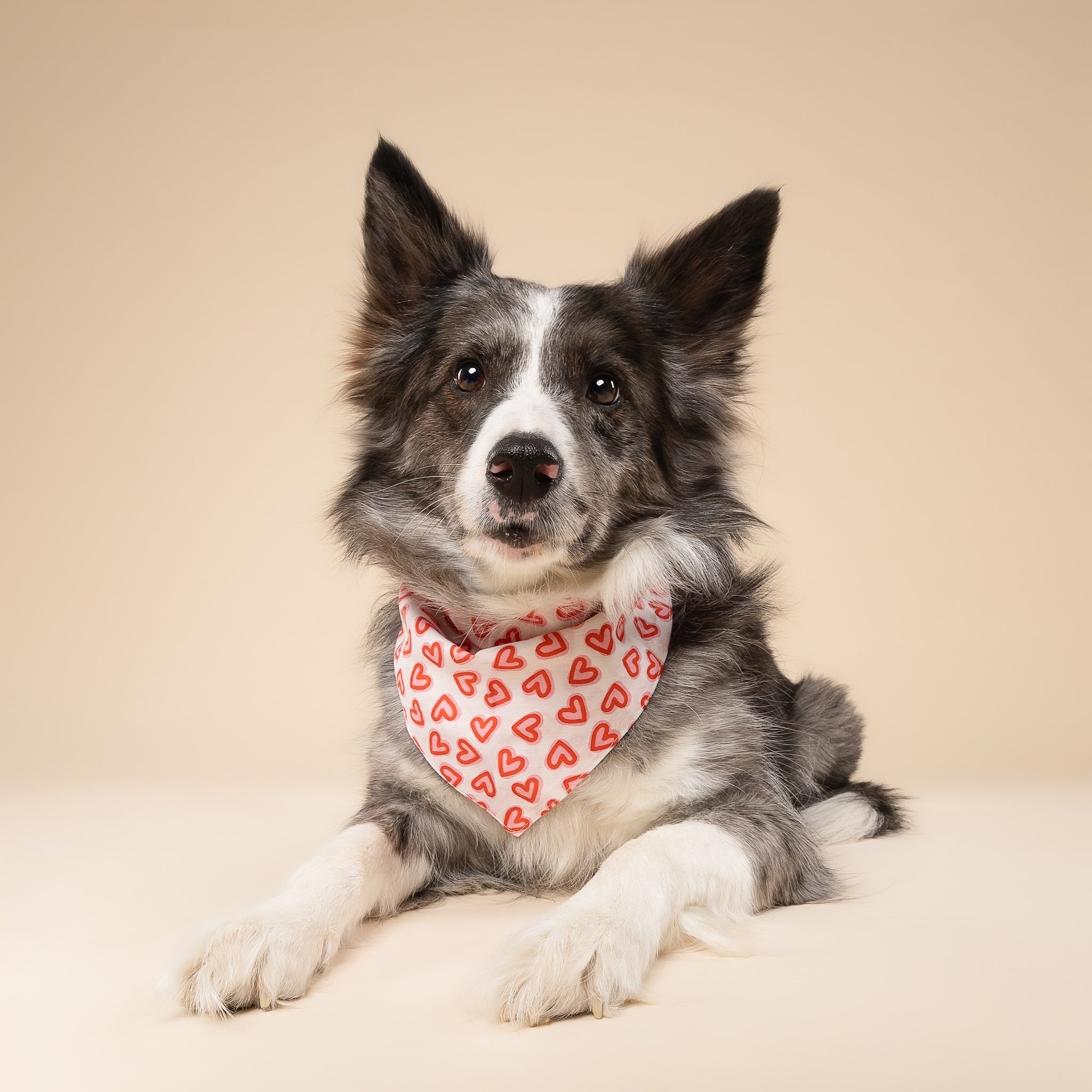 Lover Dog Bandana