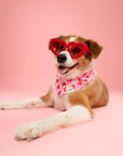 Lovesong Dog Bandana
