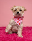 Lovesong Dog Bandana