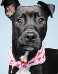 Lovesong Dog Bandana