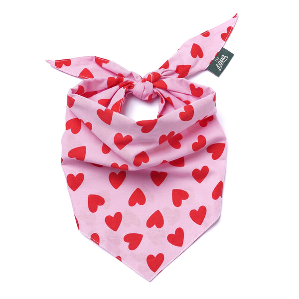 Lovesong Dog Bandana – The Paws