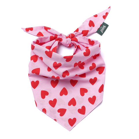 Lovesong Dog Bandana