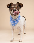 Lyla Flower Dog Bandana