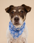 Lyla Flower Dog Bandana