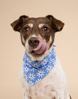 Lyla Flower Dog Bandana