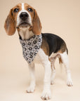 Masie Dog Bandana