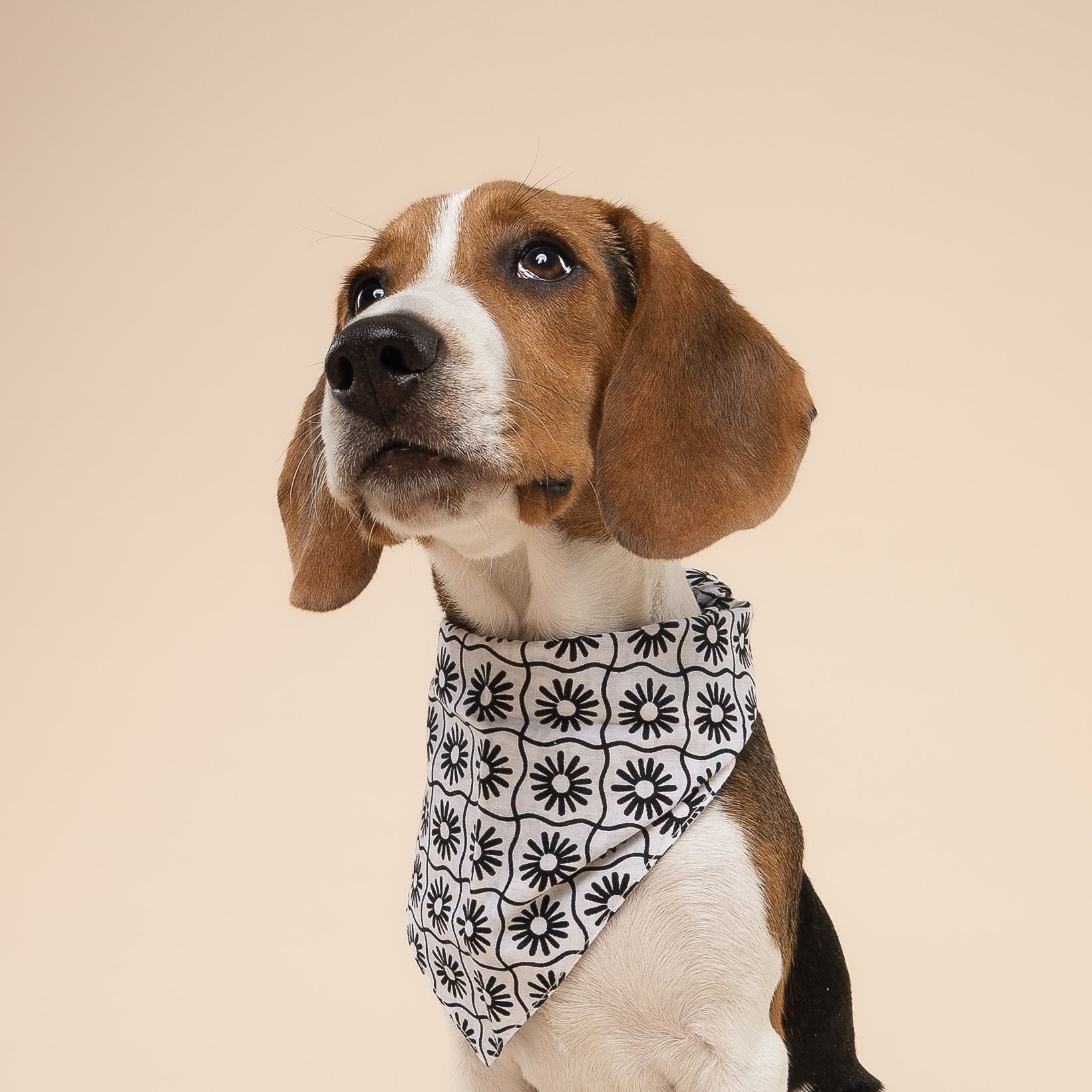 Masie Dog Bandana