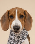Masie Dog Bandana
