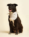 Dog wearing the Mama's Girl bandana from The Paws
