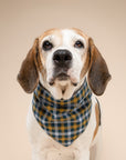 Maple Dog Bandana
