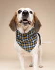 Maple Dog Bandana