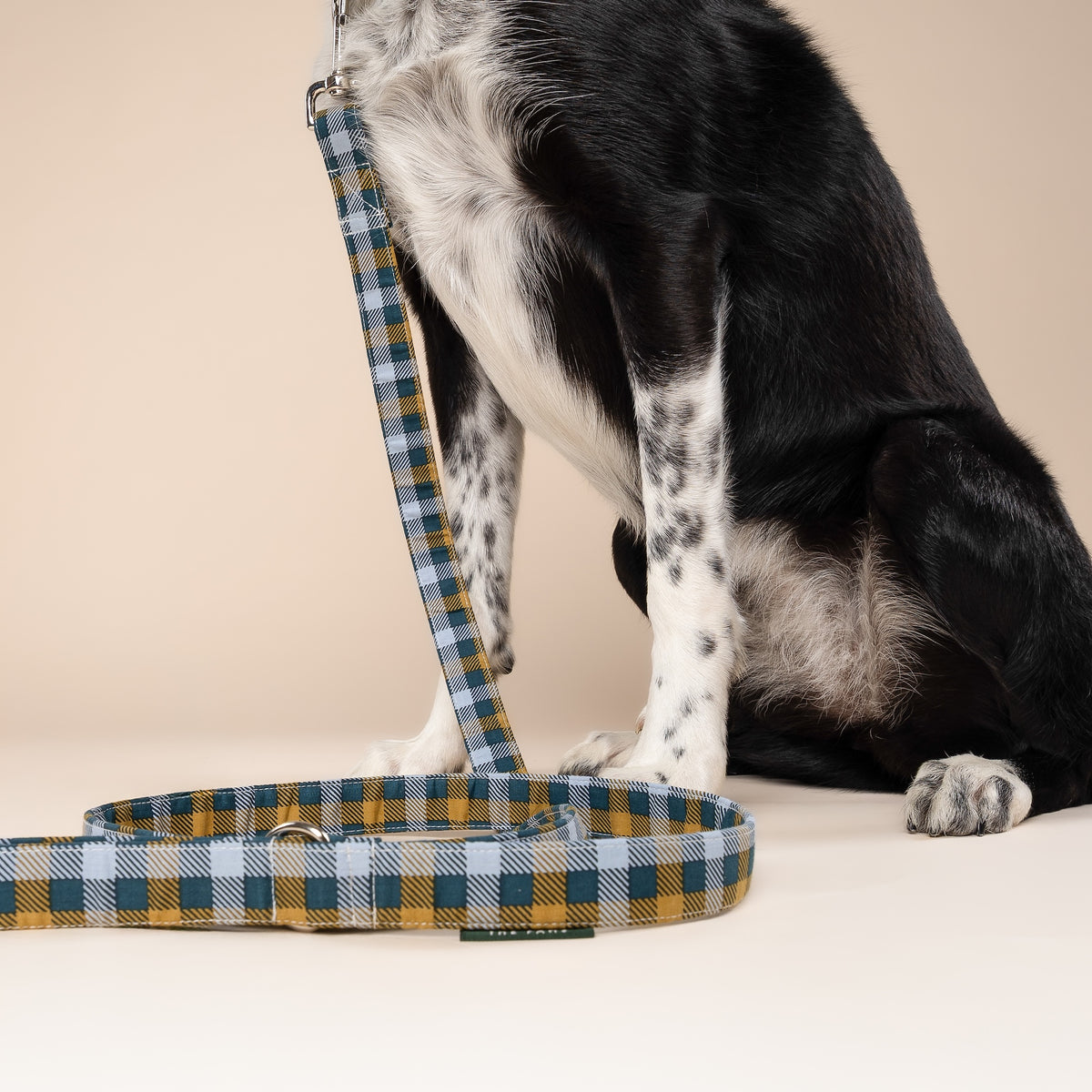 Maple Leash