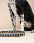 Maple Leash