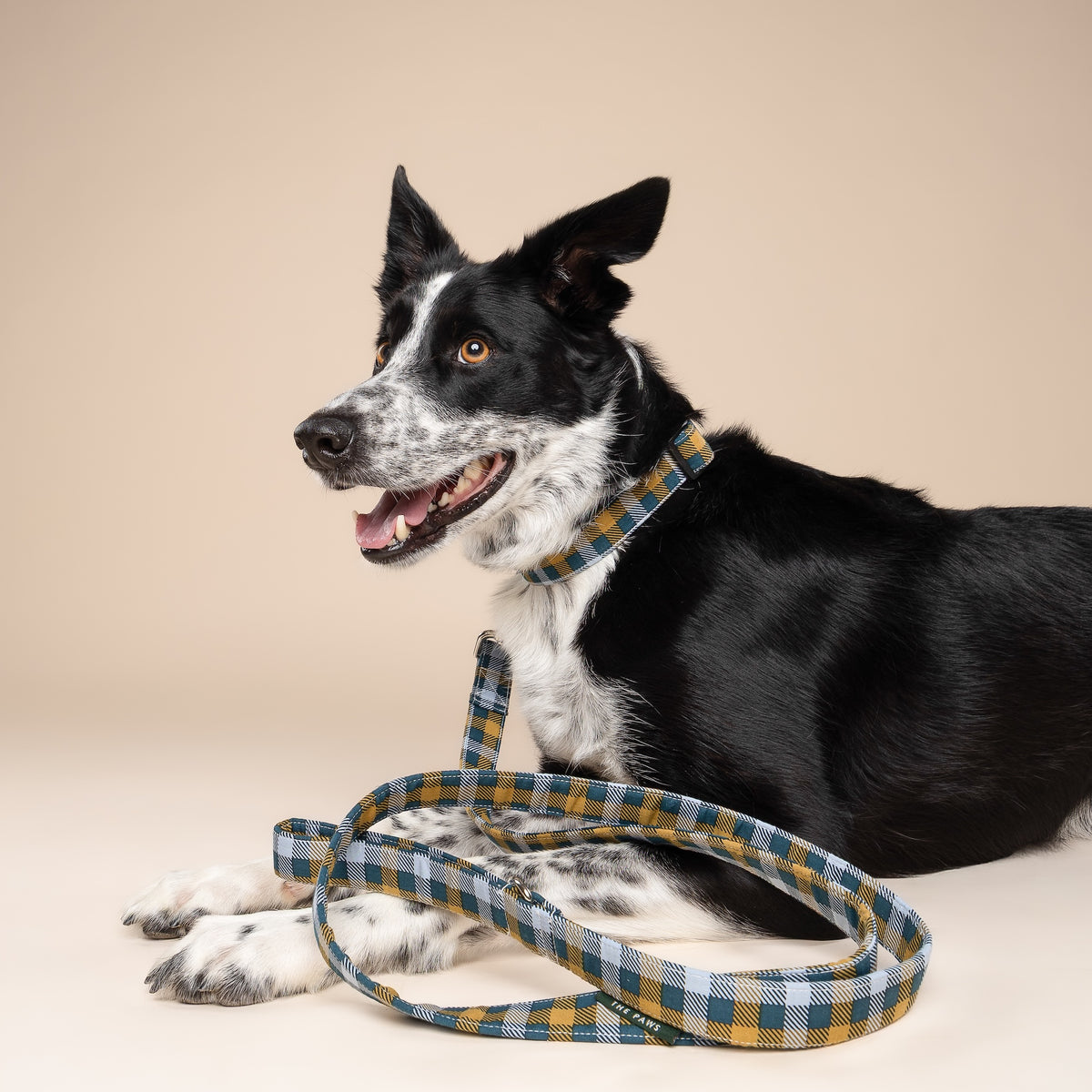 Maple Leash