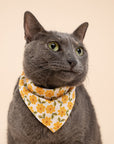 Marigold Dog Bandana