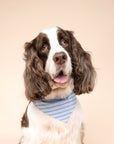Marine Stripe Dog Bandana