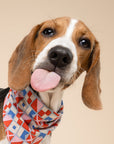 3 Pack - By The Sea Dog Bandanas