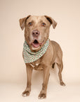 Merry Dog Bandana
