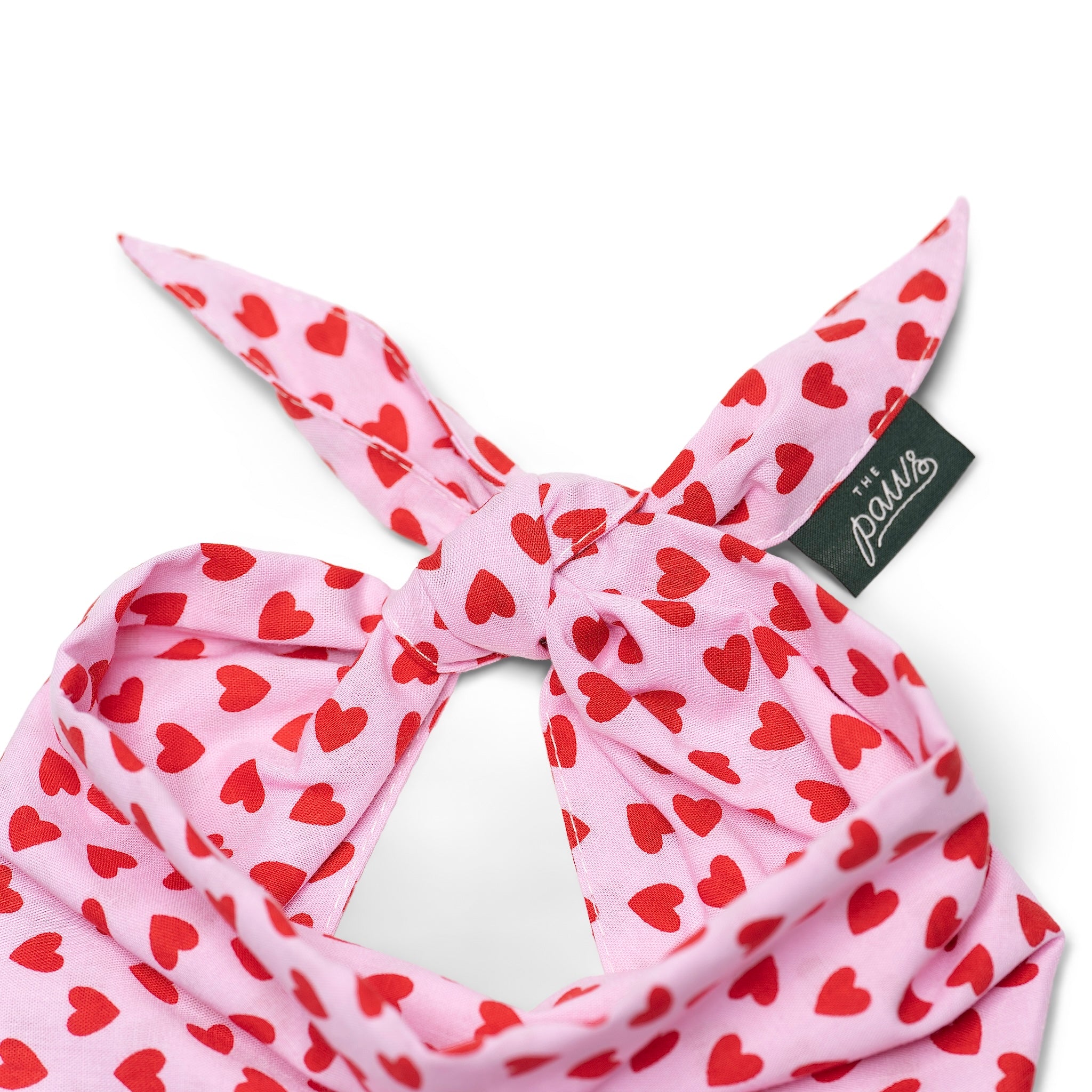 Mini Lovesong Dog Bandana