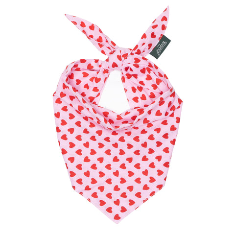 Little Lovesong Dog Bandana