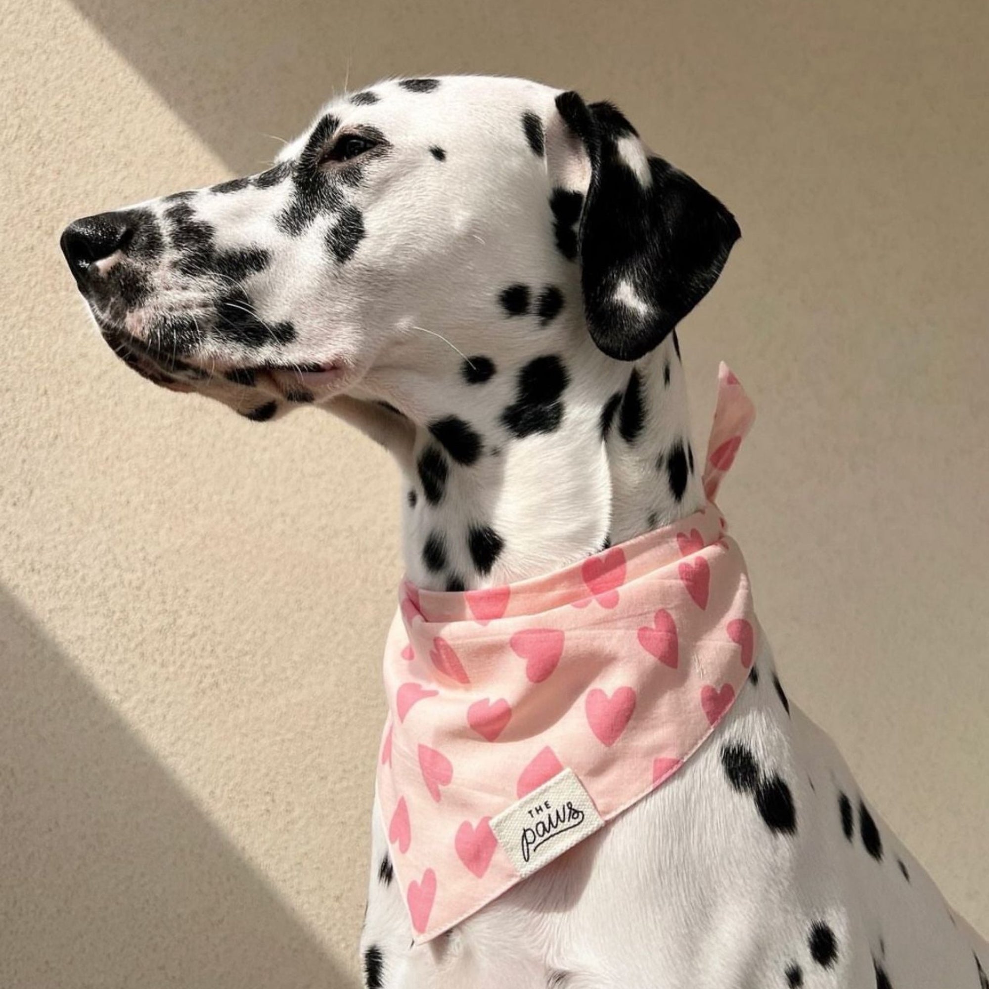 Miss Muffy Dog Bandana from The Paws