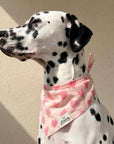Miss Muffy Dog Bandana from The Paws