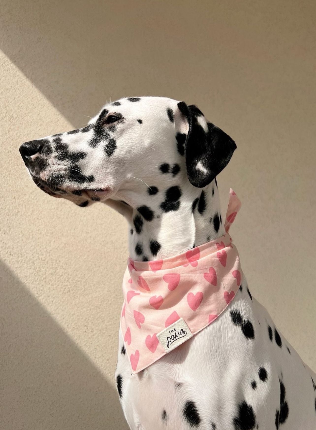 Miss Muffy Dog Bandana from The Paws